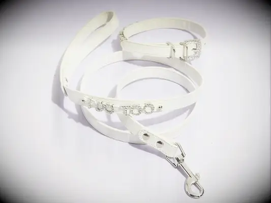 White dog wedding leash and collar that says 