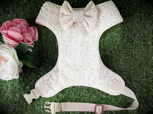 White lace dog harness. 