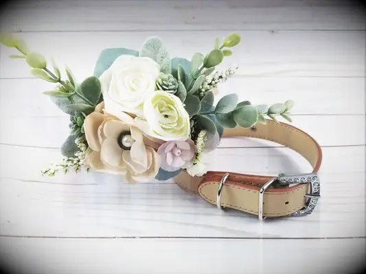 Succulent and flower dog wedding collar.
