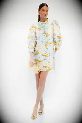 Tuckernuck mini floral cocktail dress