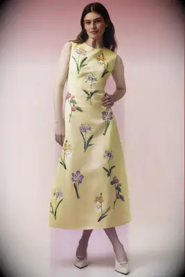 Leo Lin beaded floral a-line midi mother of the bride dress for outdoor wedding from Anthropologie