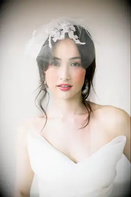 Model wears a birdcage veil with floral embroidery. 