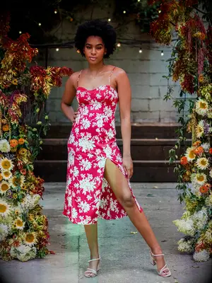 Abercrombie x Tartarusfarms