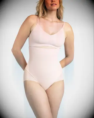 Honeylove SuperPower briefs shapewear