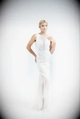  Stephen Goudeau wedding dress