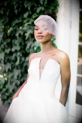 birdcage veil with sparkles