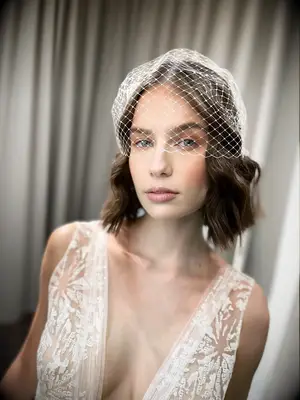 classic birdcage veil