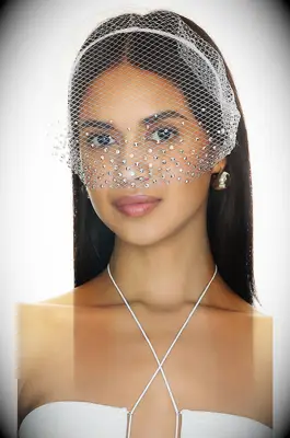 Gigi Burris X REVOLVE fishnet birdcage veil with crystals