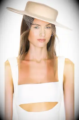 birdcage veil attached to hat