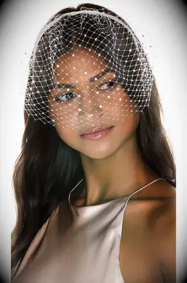 Eugenia Kim birdcage veil with crystals