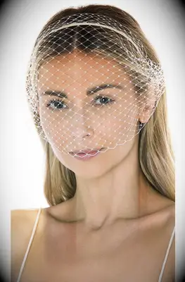 birdcage veil attached to silk headband