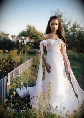 Anne Barge off shoulder blush pink wedding gown 