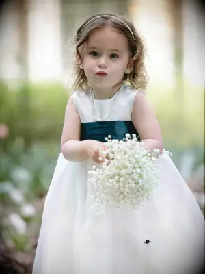 Hvordan man køber en pige i Florida, der svarer til atmosfæren i brylluppet