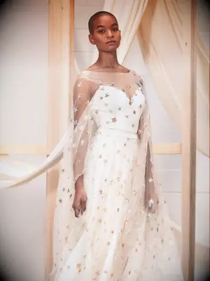 Two piece gown with illusion neckline and long sleeves and gold and silver sequin stars