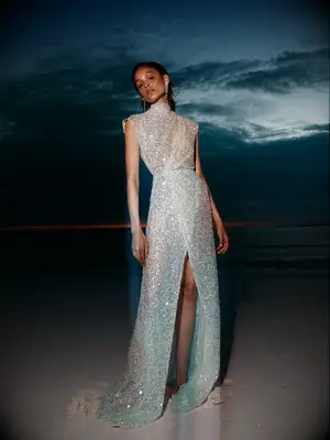 High neckline cap sleeve dress with slit and silver sequins