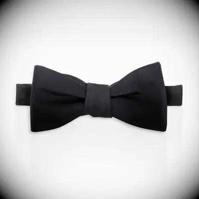 Tie Bar fall wedding guest bow tie
