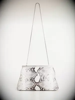 Snake skin clutch purse