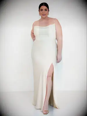 Park & Fifth champagne bridesmaid dress