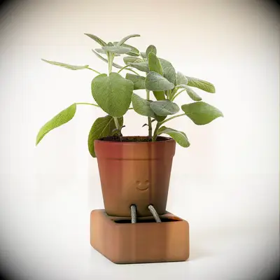 Self-watering planter anniversary gift ideas