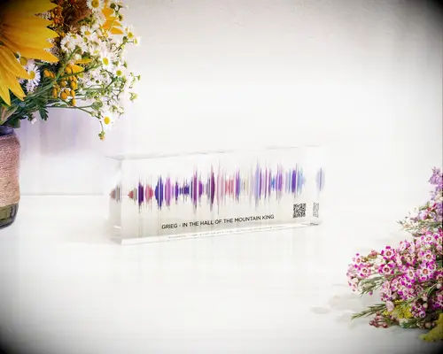 Custom song wave plaque anniversary gift for girlfriend