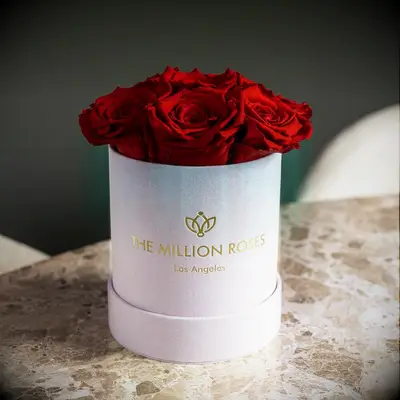 Million Roses preserved rose bouquet anniversary gift for girlfriend