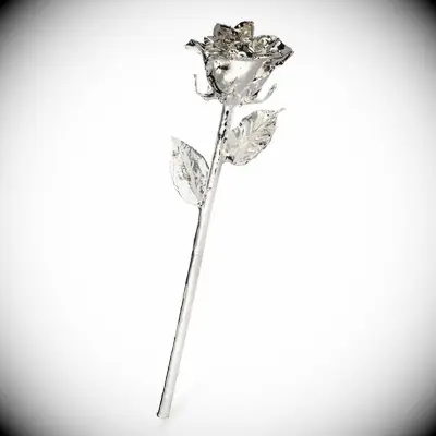 Silver forever rose