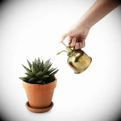 Brass plant mister gift idea for 21st anniversary. 