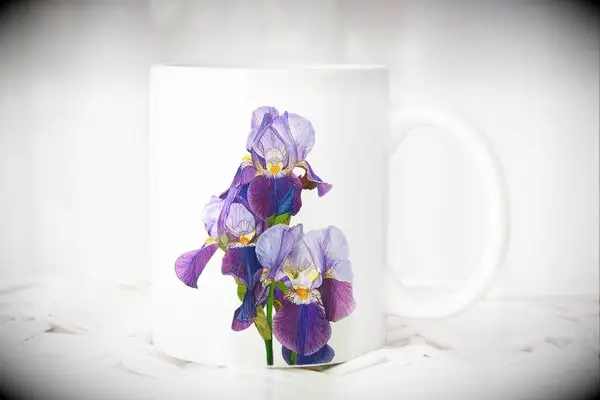 Iris-print mug gift idea for 21st anniversary. 