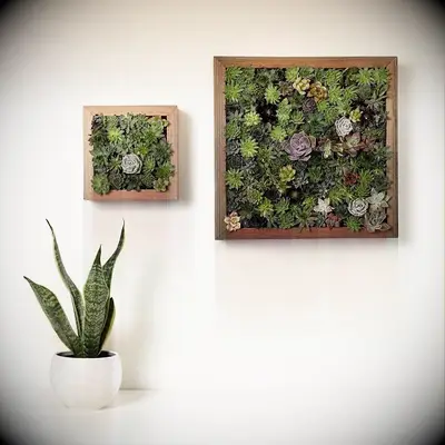 Succulent grow kit gift idea from Uncommon Goods. 