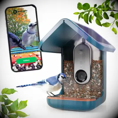 Smart bird feeder 21st anniversary gift