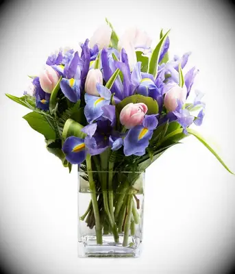 Iris and tulip bouquet delivery 21st anniversary gift
