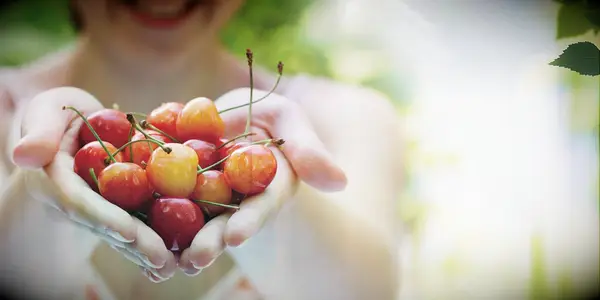 Fresh fruit subscription