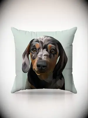 Custom pet pillow
