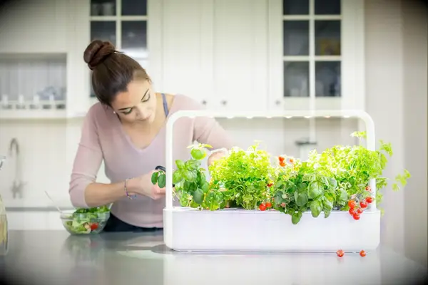 Click and Grow smart indoor herb and vegetable garden gift for wife