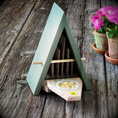 Butterfly house gift for wife who loves gardening