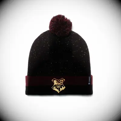 Harry Potter beanie from Stance gift for wife