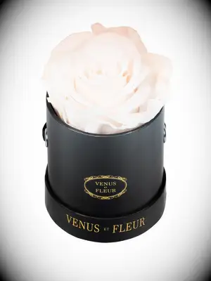 Venus et Fleur preserved rose romantic gift for wife