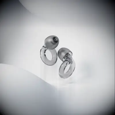 Loop earplugs brother-in-law gift