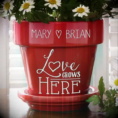 Customized red flower plant pot