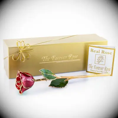 Forever rose Valentine