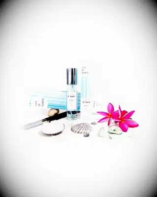 City of Scents room mist sister-in-law gift