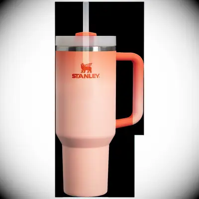 Stanley Quencher sister-in-law gift