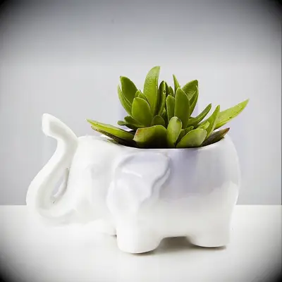 Ceramic elephant plant pot 14th anniversary gift