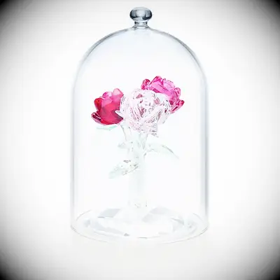 Glass roses cloche Beauty and the Beast modern three anniversary gift ideas