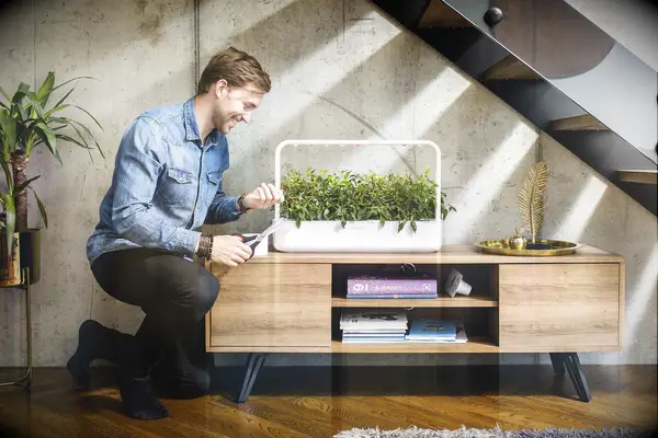 Indoor smart garden unique three year anniversary gift