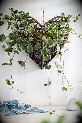 Heart-shaped planter