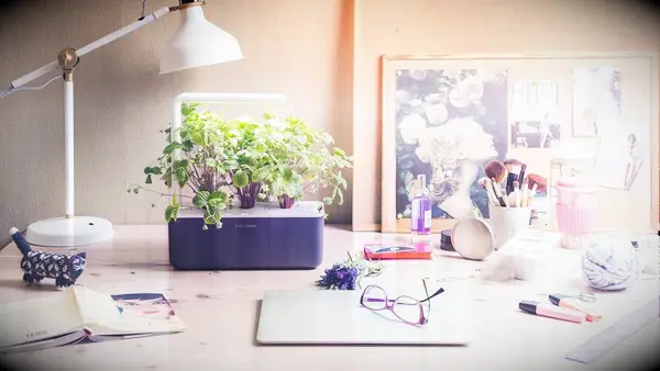 Indoor smart garden gift