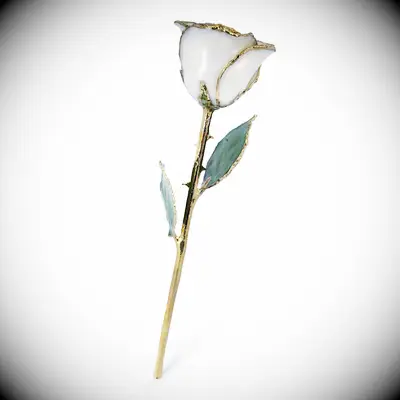 White forever rose wit gold metal detailing 12 year anniversary gift