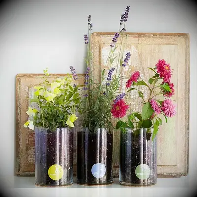 Flower Growing Kit from Uncommon Goods for your 12th wedding anniversary gift