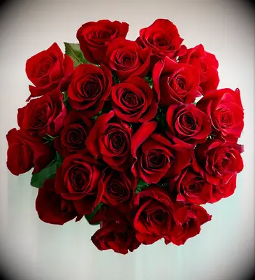 Bouquet of roses gift